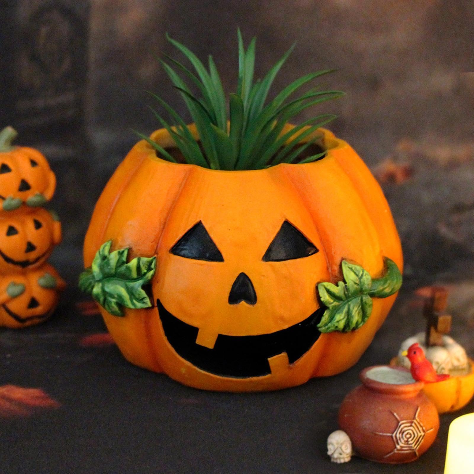 Amazon.co.jp: カボチャの植木鉢 - ハロウィン パンプキン プランター